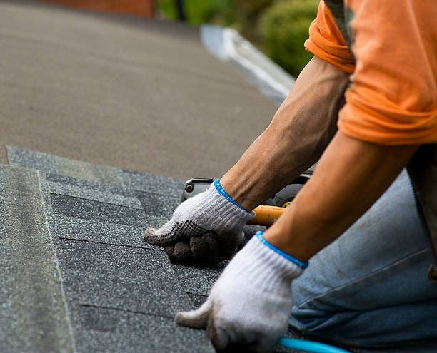 Roof Gutter Cleaning in Vail, AZ